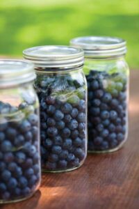A Guide to Freezing Food